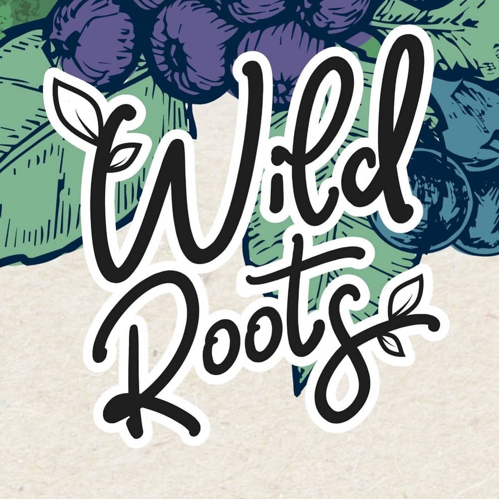 Illustration of 'Wild Roots' text with stylized leafy and berry background