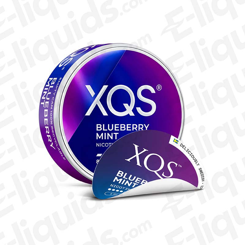 XQS Blueberry Mint Nicotine Pouches with sweet Blueberries and a crisp Mint undertone in blue and pink packaging.