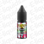 Smash Salts 6500 Frozen Watermelon Slices 20mg Nic Salt E-liquid